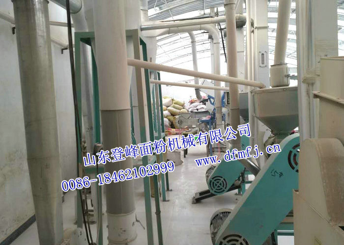 藜麦米加工成套设备
