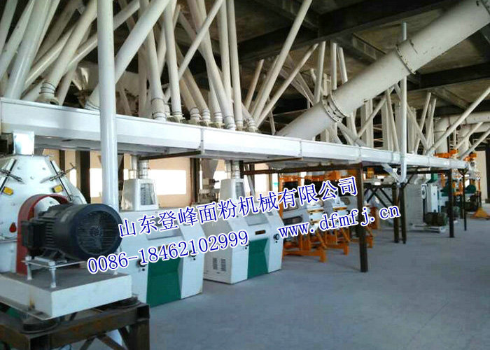 青稞米/青稞粉加工成套设备