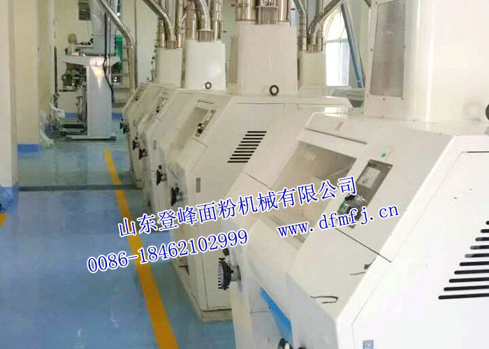 180-200T 24h玉米粉生产线