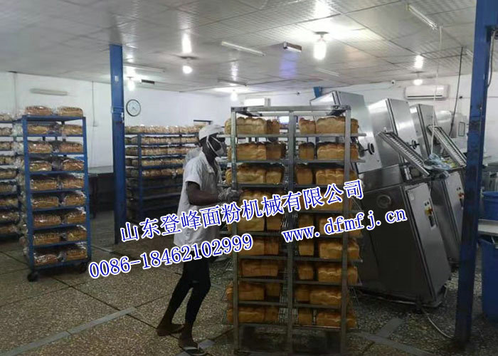 多功能面包生产线