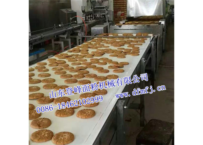 多功能饼干生产线