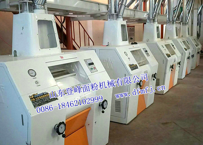 60T 24h玉米粉生产线